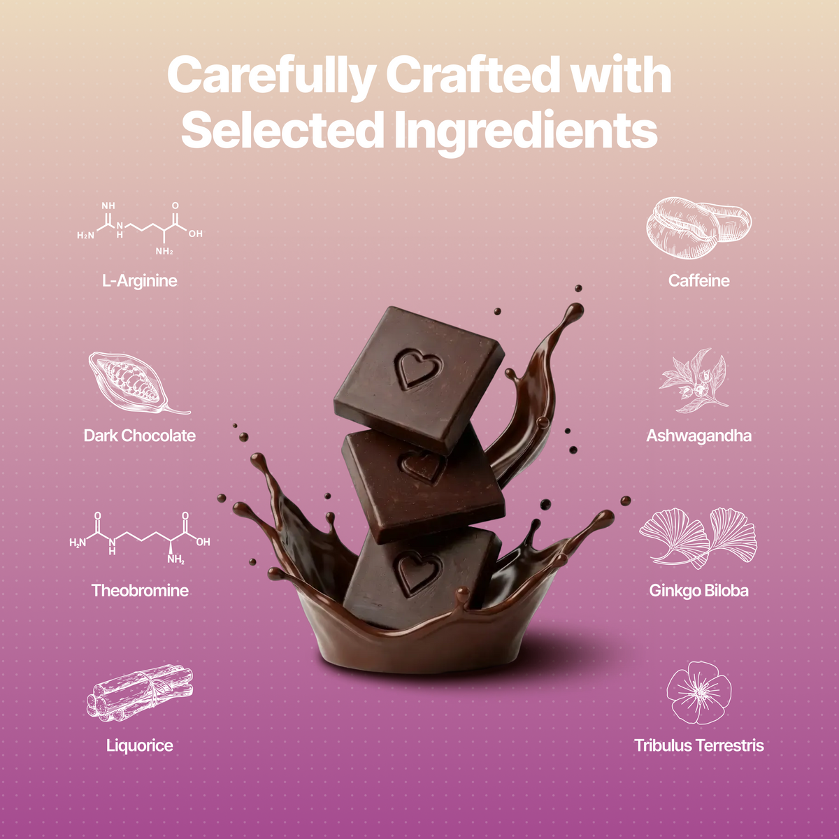 Nooky Tempt 2-in-1 Kit | Metal Plug & Chocolate